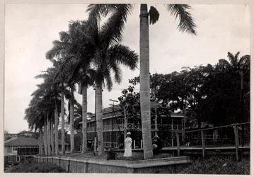 Groupe de deux hommes et une femme sous un palmier pendant la construction du canal de Panama, 1912 ou 1913